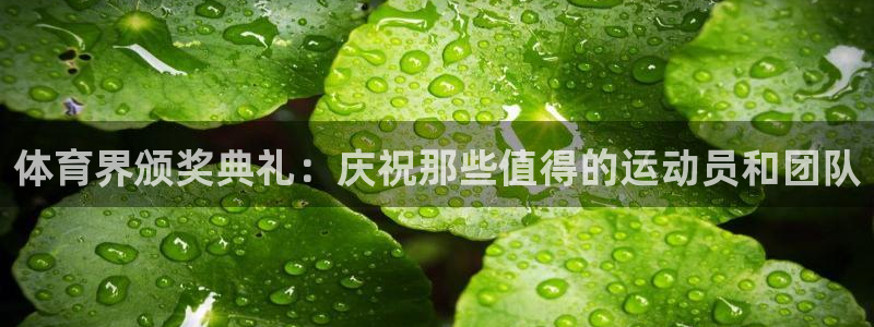 体育界颁奖典礼：庆祝那些值得的运动员和团队