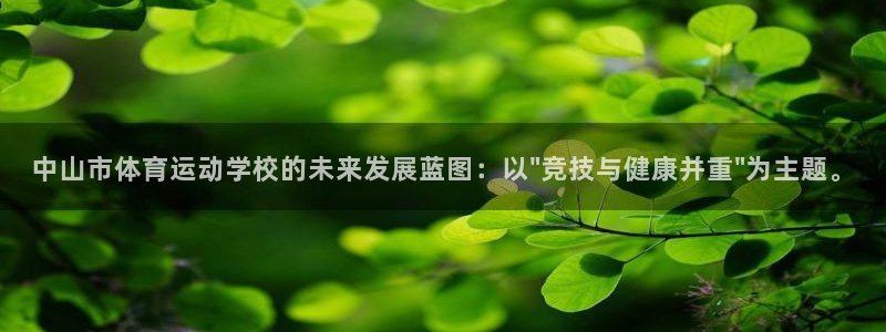 中山市体育运动学校的未来发展蓝图：以\