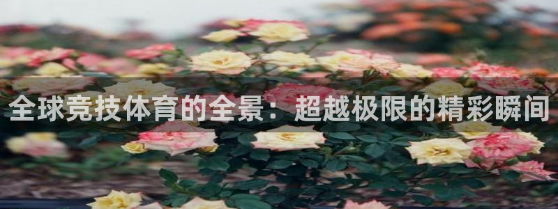 全球竞技体育的全景：超越极限的精彩瞬间