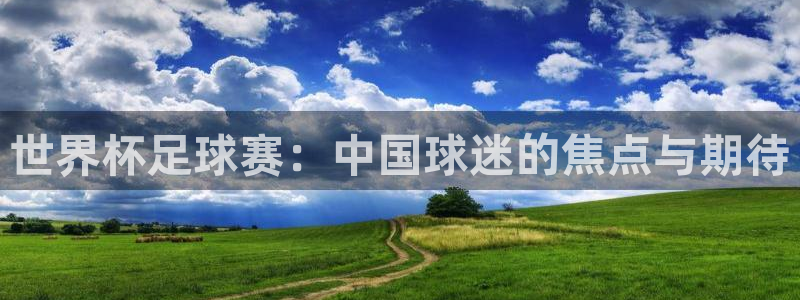 世界杯足球赛：中国球迷的焦点与期待