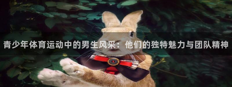 青少年体育运动中的男生风采：他们的独特魅力与团队精神